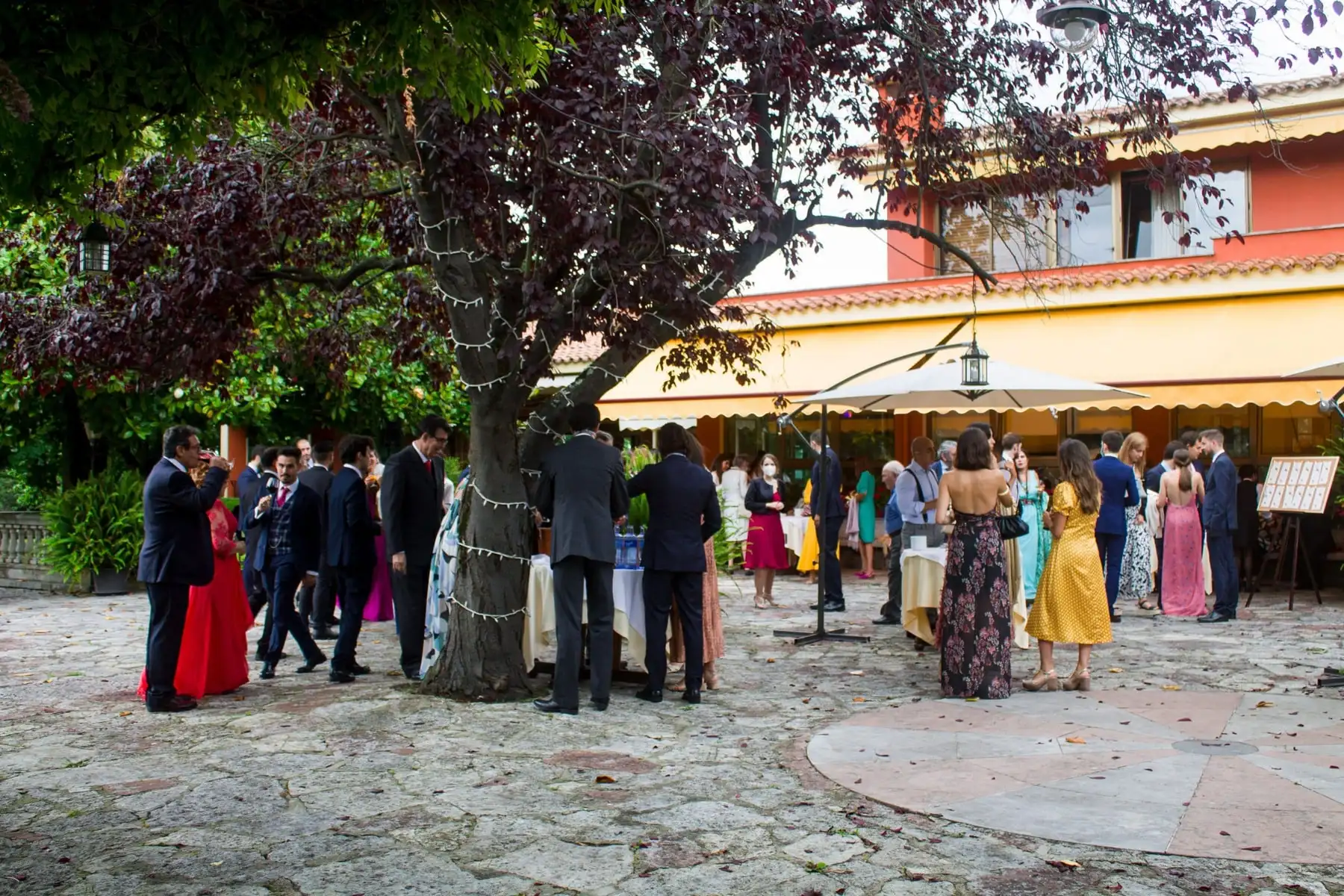 El cóctel en el patio empedrado, bajo un árbol de hojas moradas y junto a la fachada del restaurante
